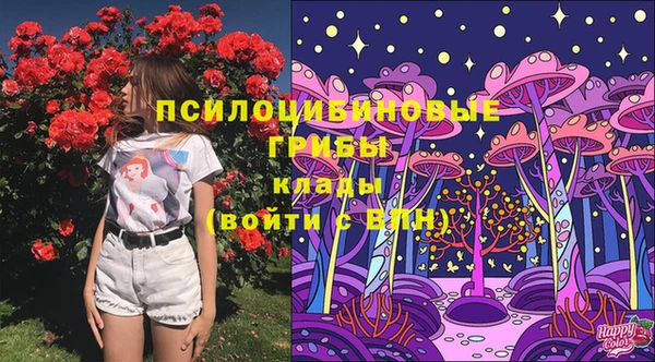 MDMA Горняк