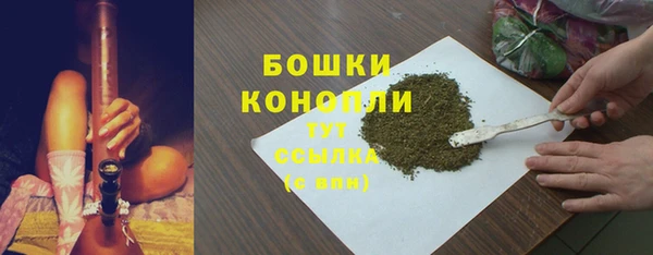 эйфоретик Вяземский