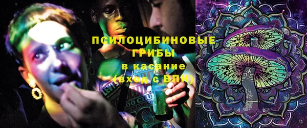 эйфоретик Вяземский