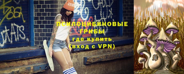 Альфа ПВП Вязьма