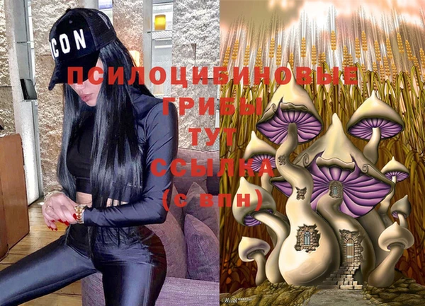 гашишное масло Горнозаводск