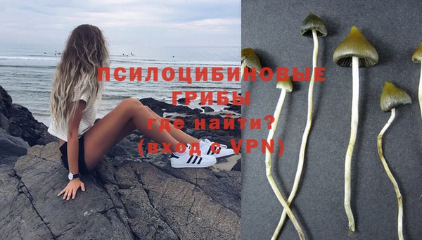 эйфоретик Вяземский