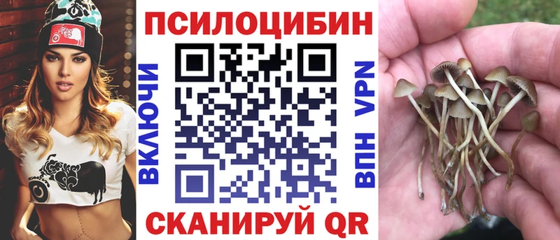 Купить закладки  Калтан  Галлюциногенные грибы GOLDEN TEACHER 