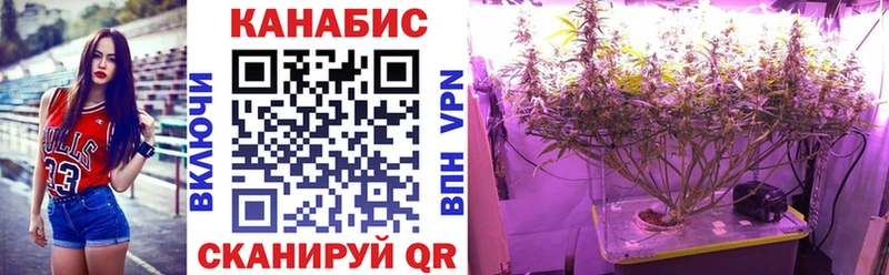 Купить  Калтан  Бошки Шишки MAZAR 